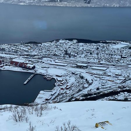 Appartamento Narvik Sentrum Esterno foto